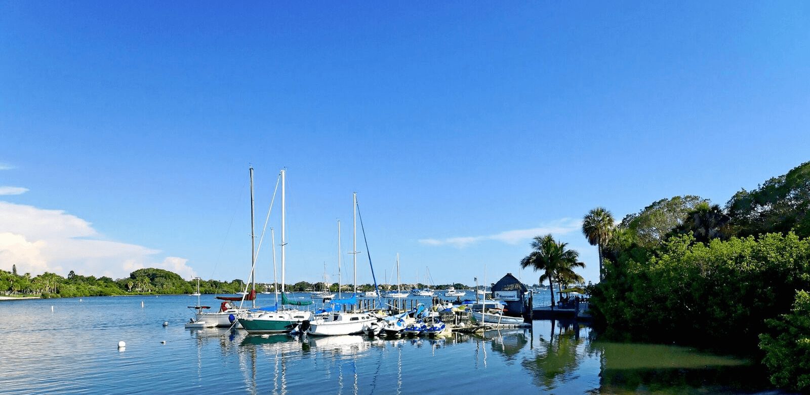 Bird Key Luxury Homes