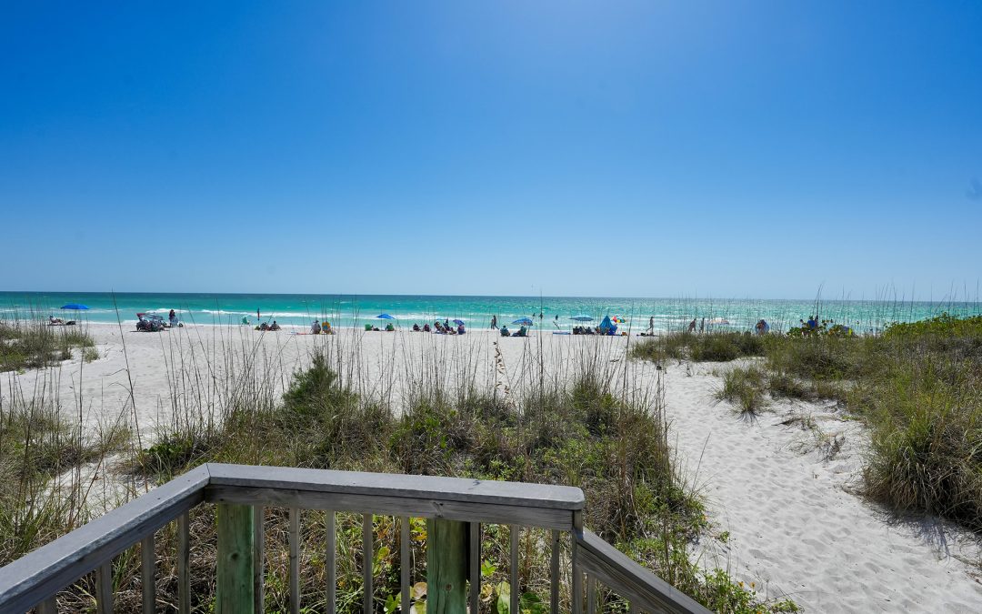 Moving to Sunny Sarasota: 4 Reasons Why Relocating to Florida Can Be the Best Life Decision
