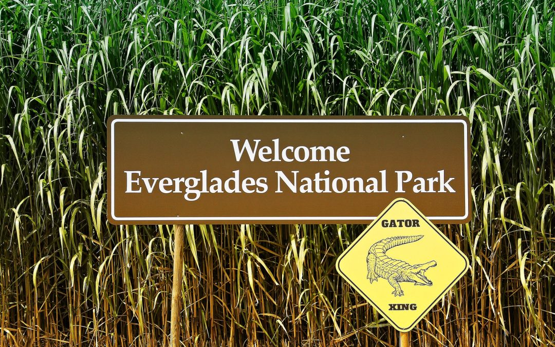 QUESTION OF THE WEEK: How big is Everglades National Park?